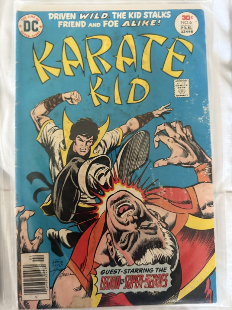 karate kid