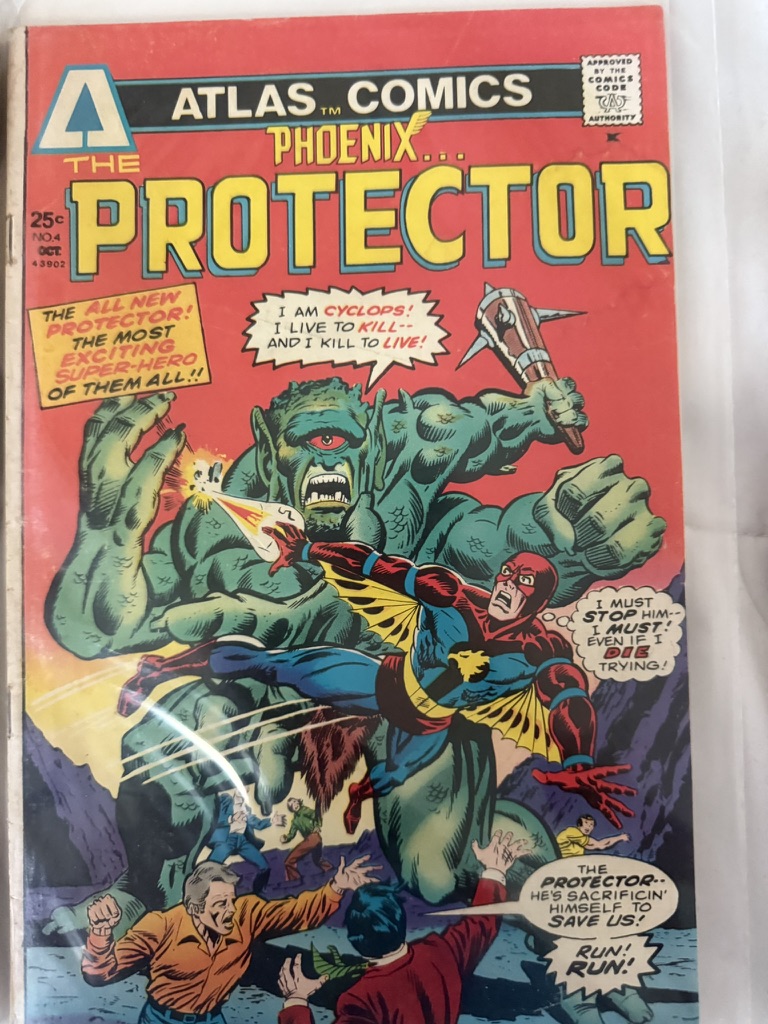 phoenix the protector