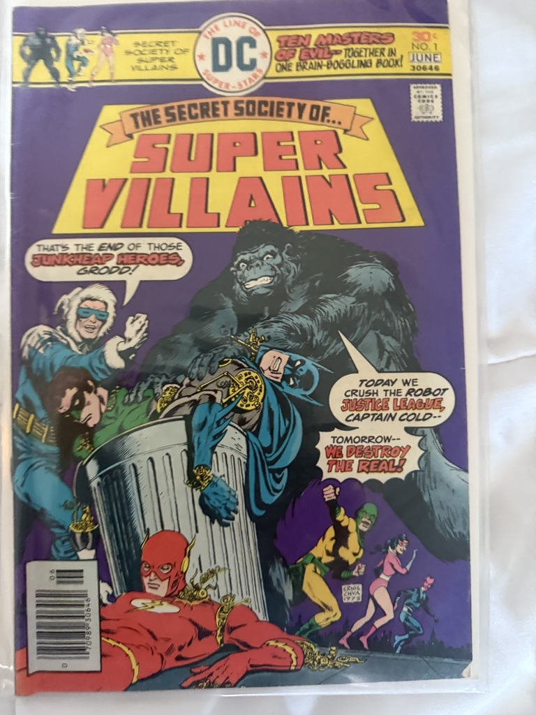 the secret society of super viilians