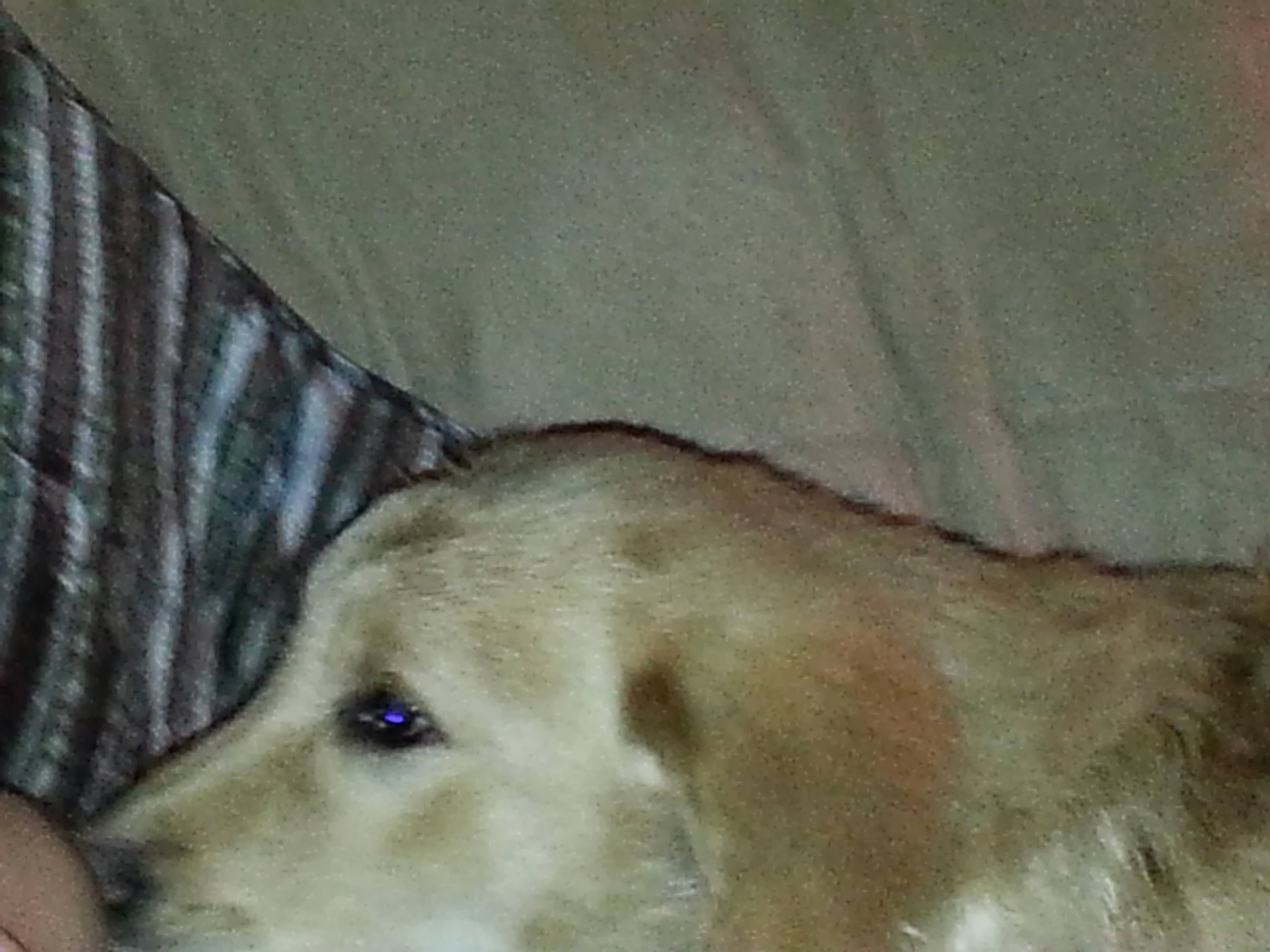 Louie memory
