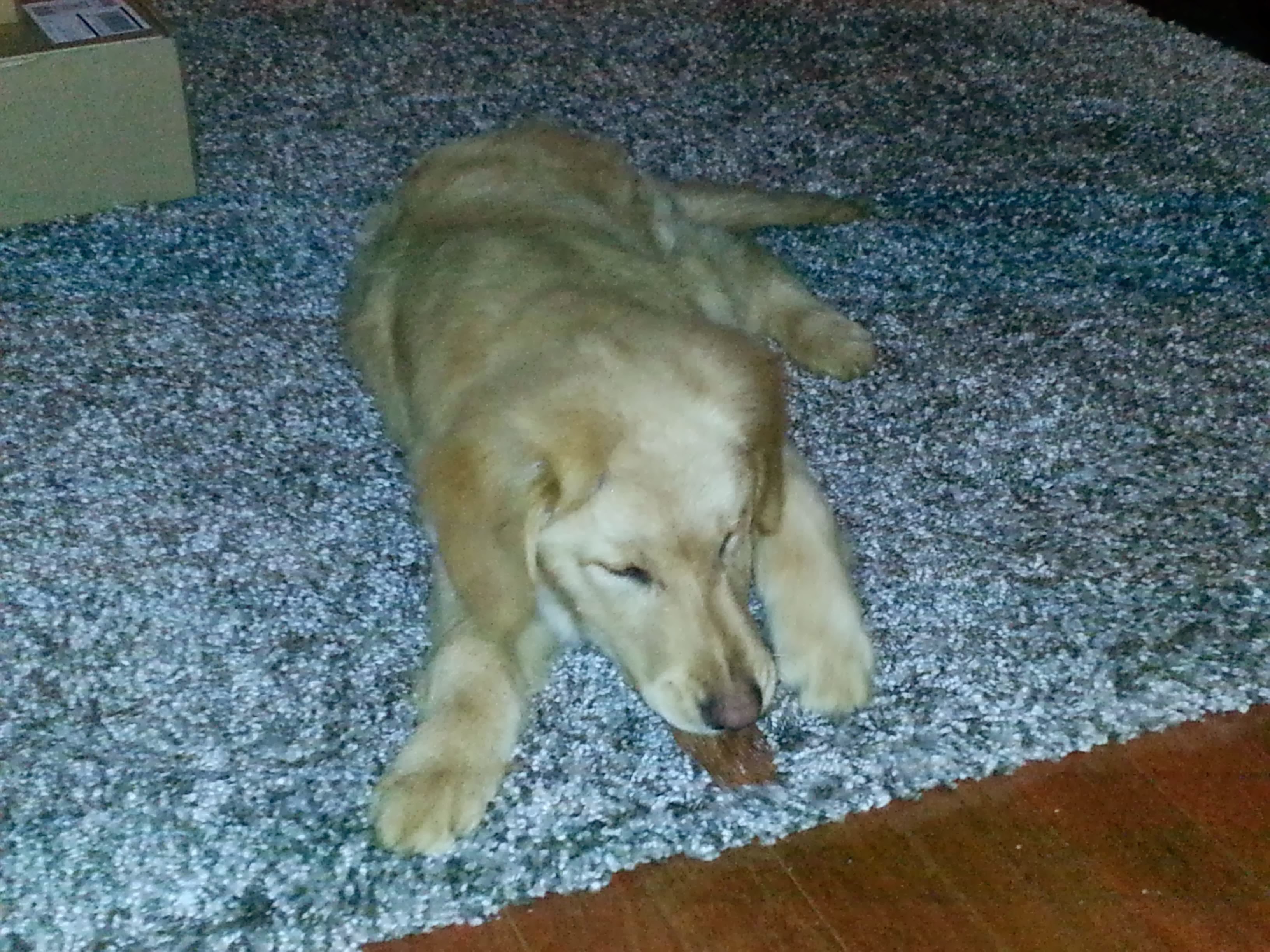 Louie memory