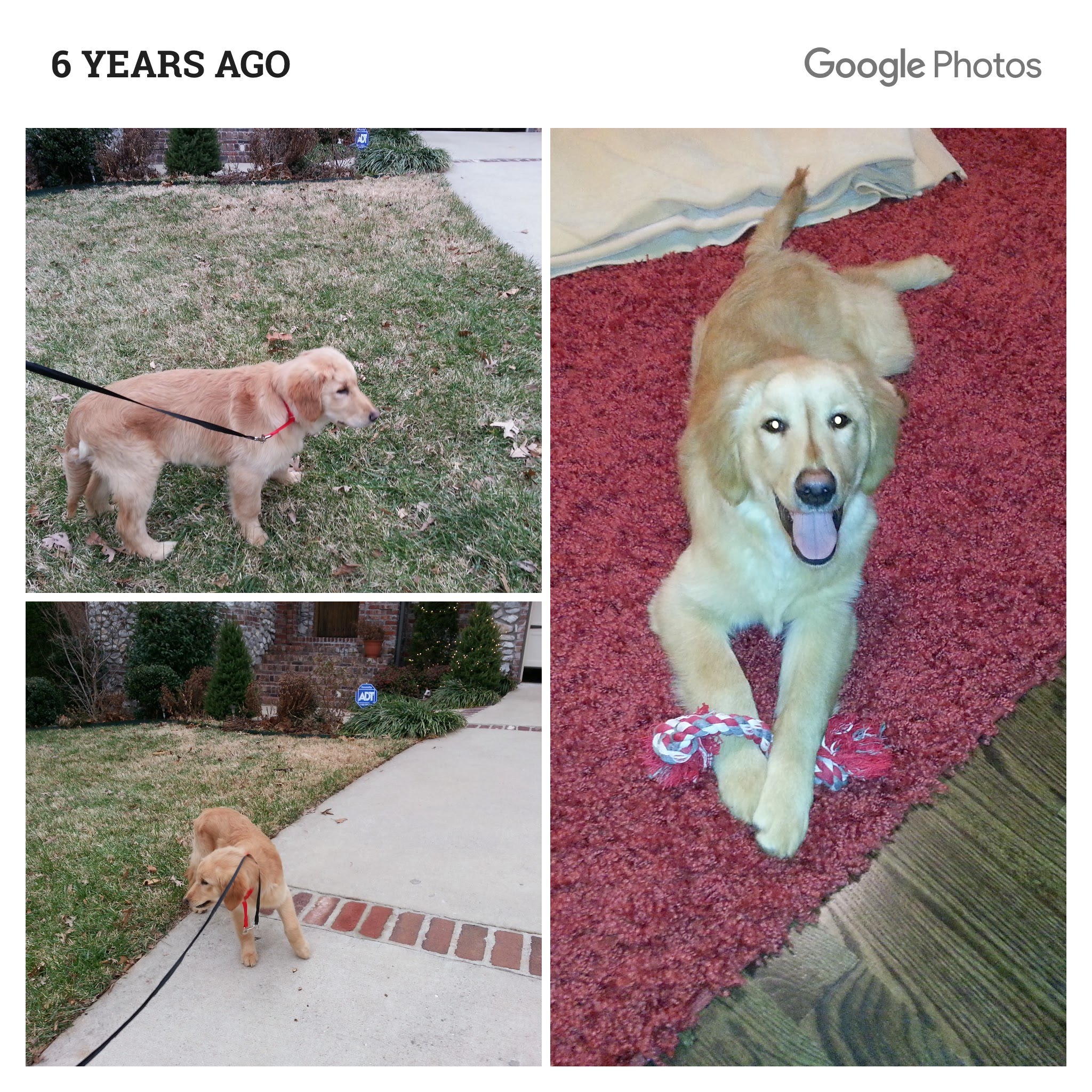 Louie memory