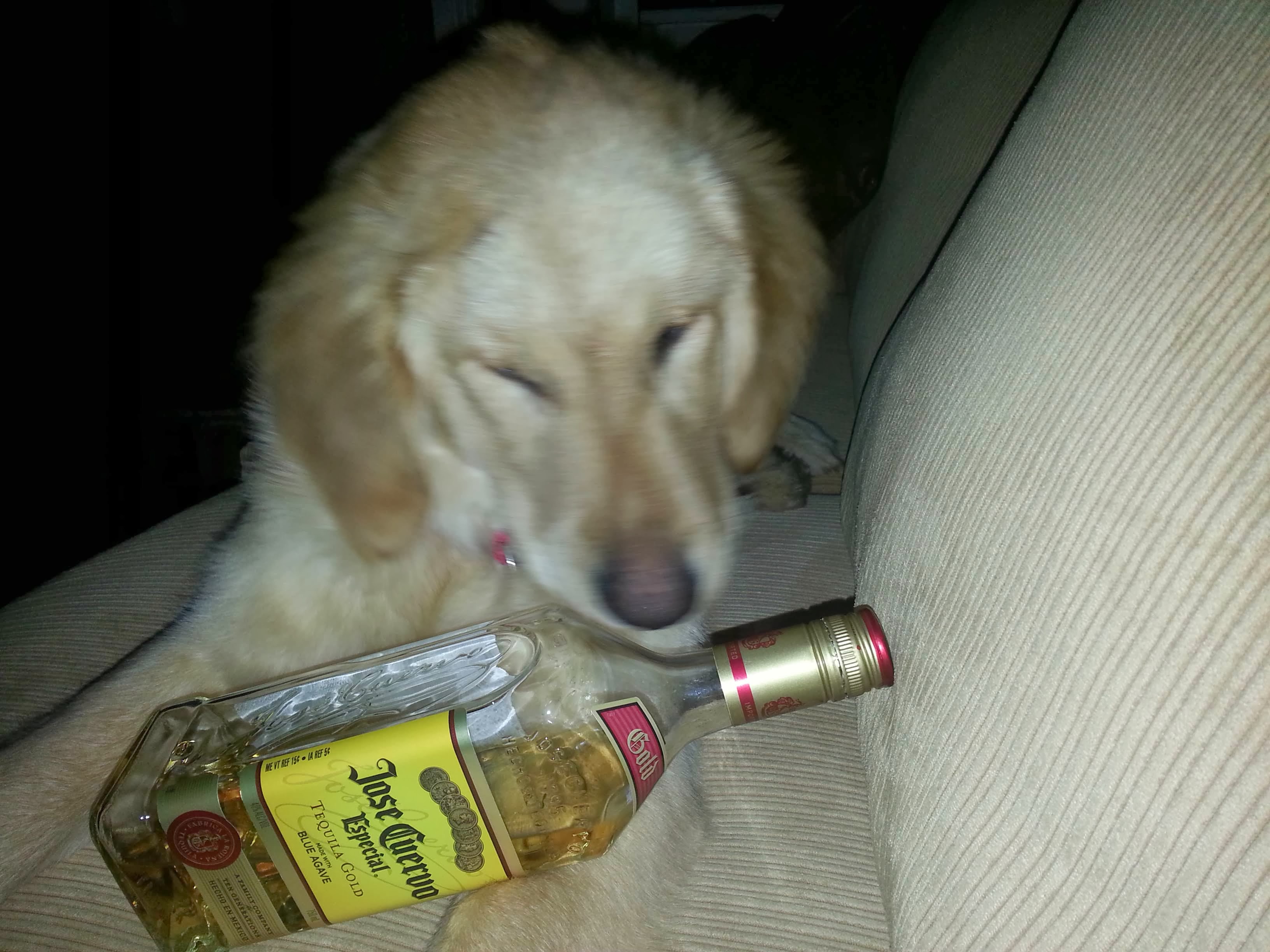 Louie memory