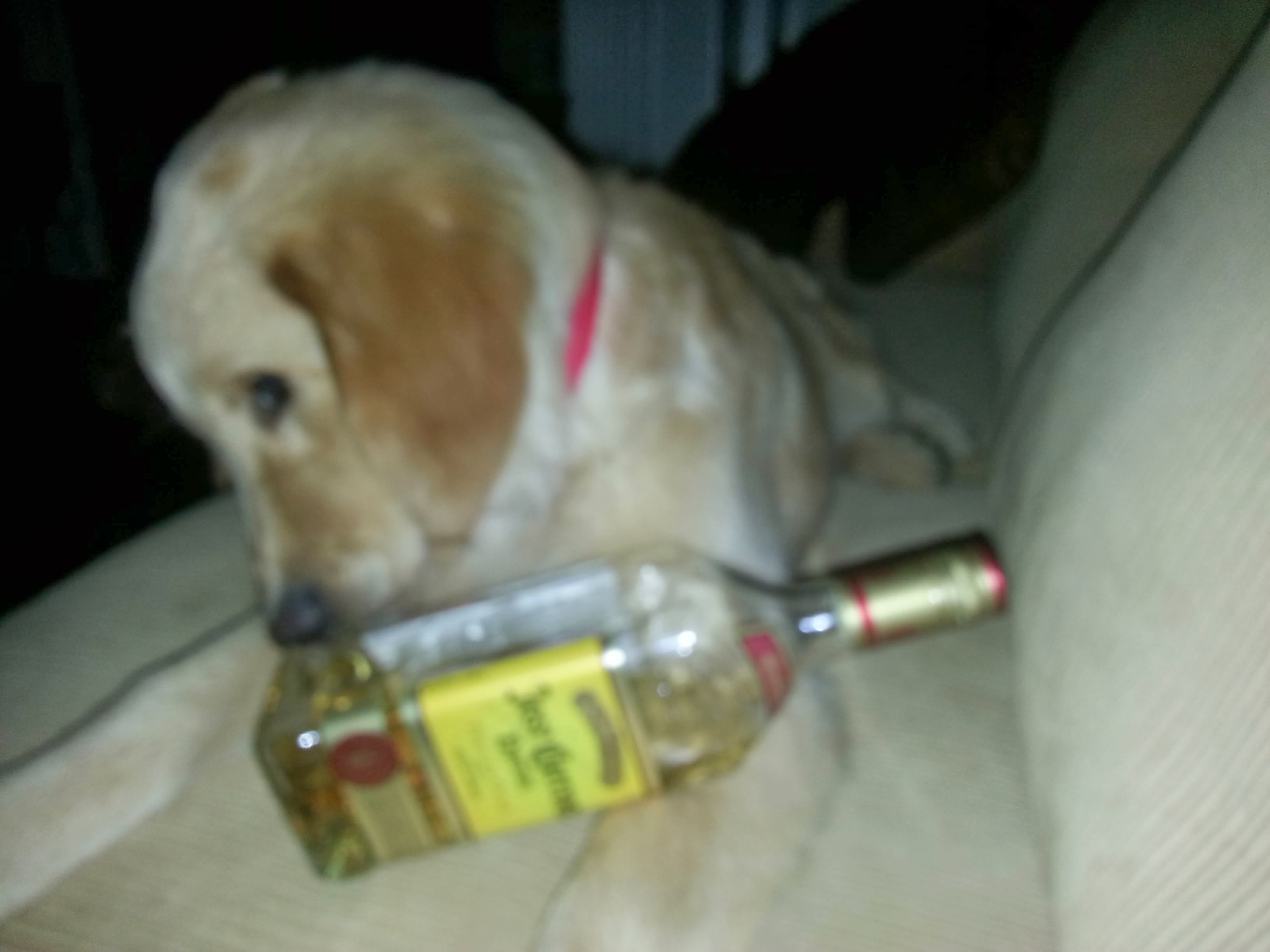 Louie memory