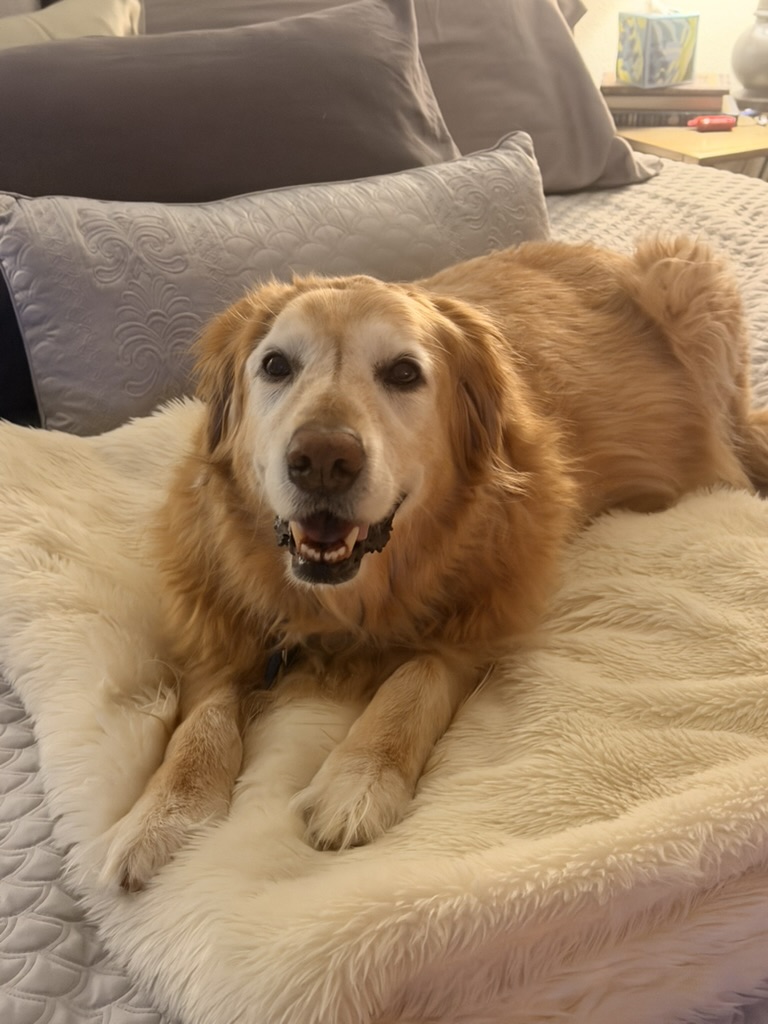 Louie memory