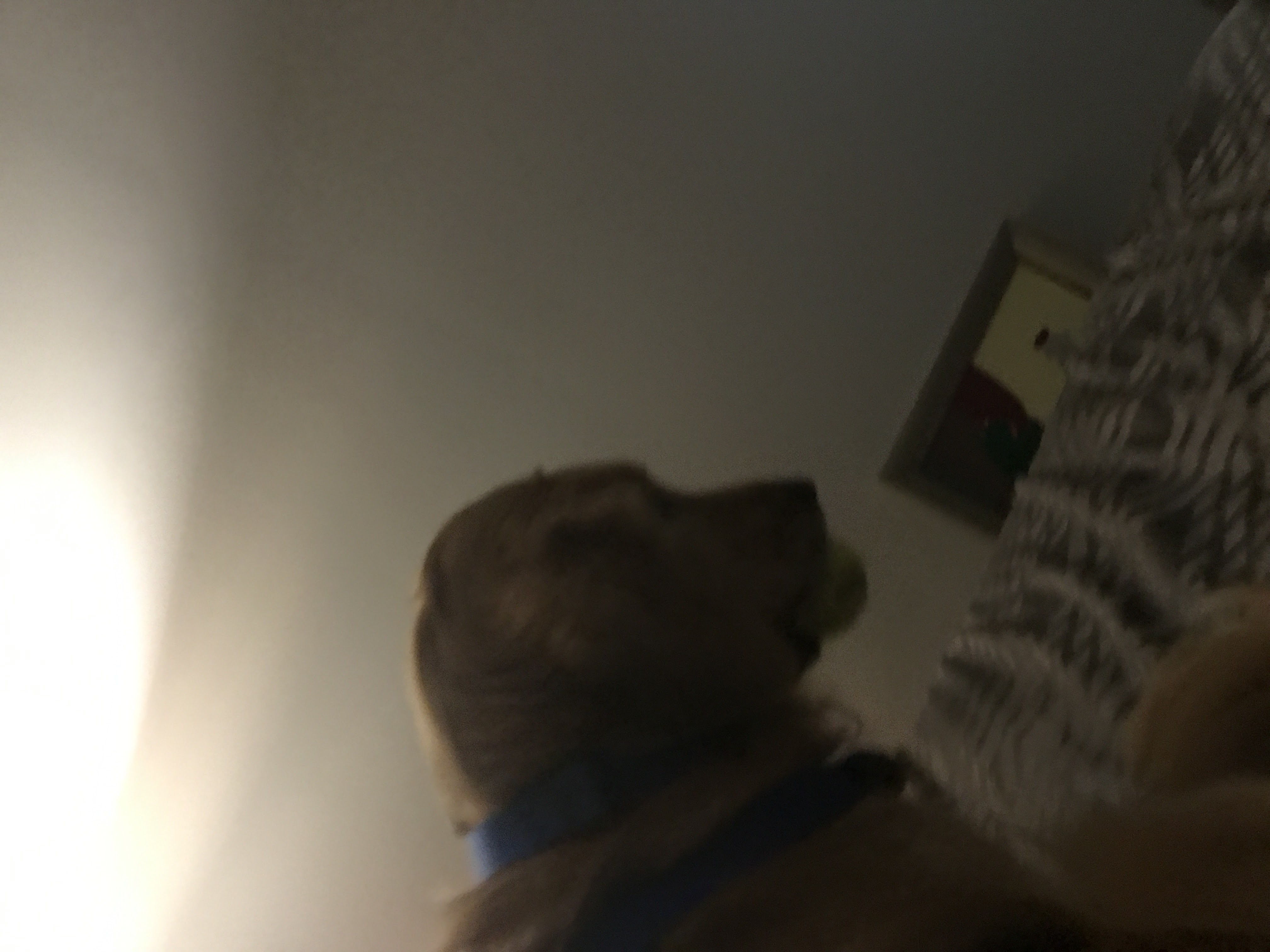 Louie memory