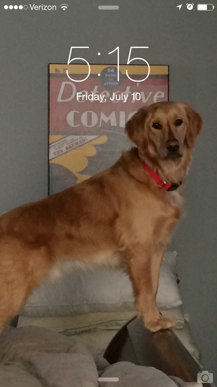 Louie memory