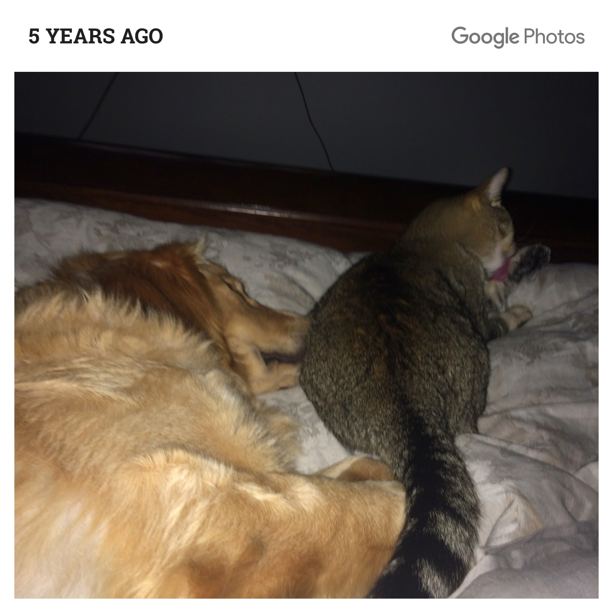 Louie memory