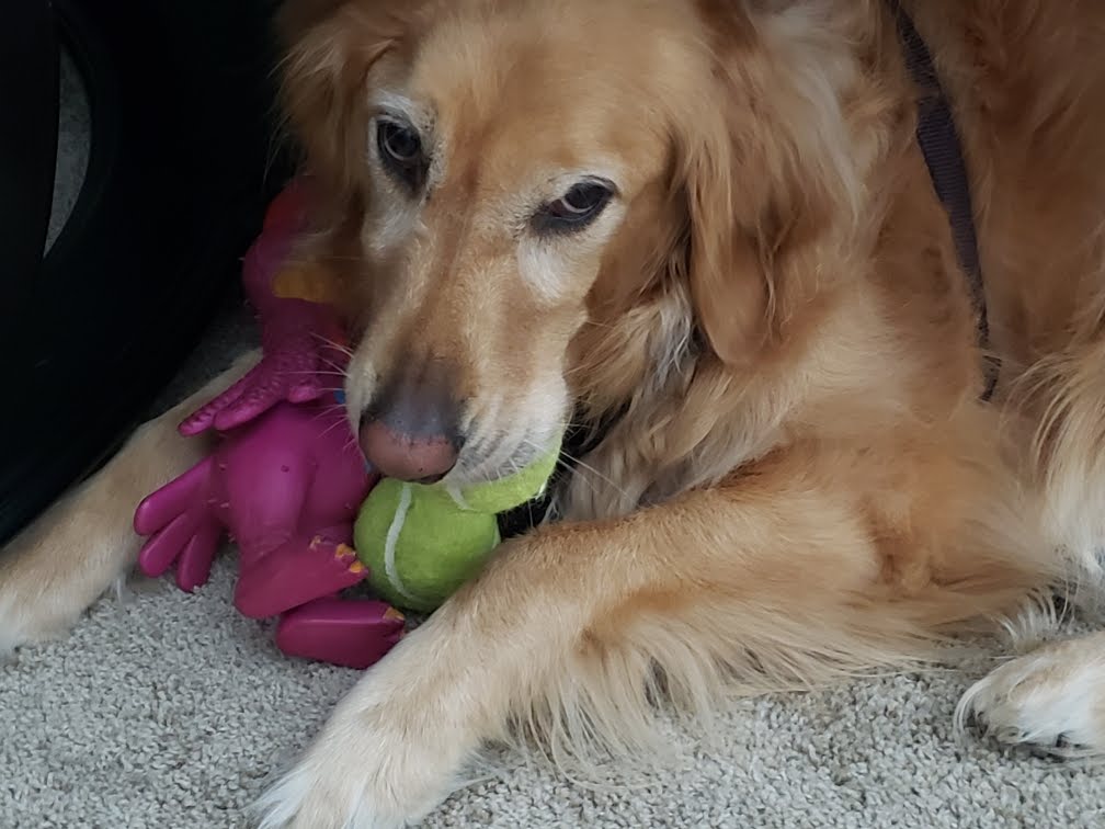 Louie memory