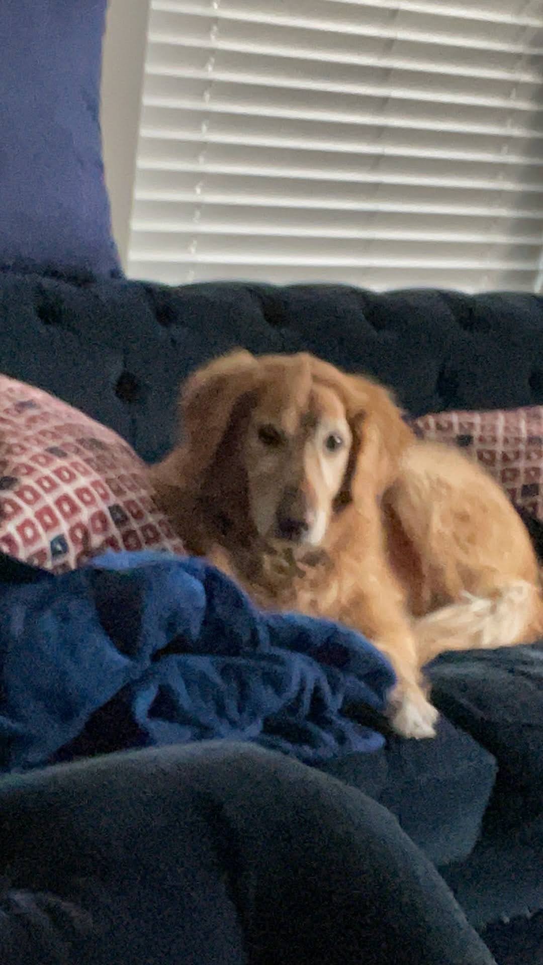 Louie memory