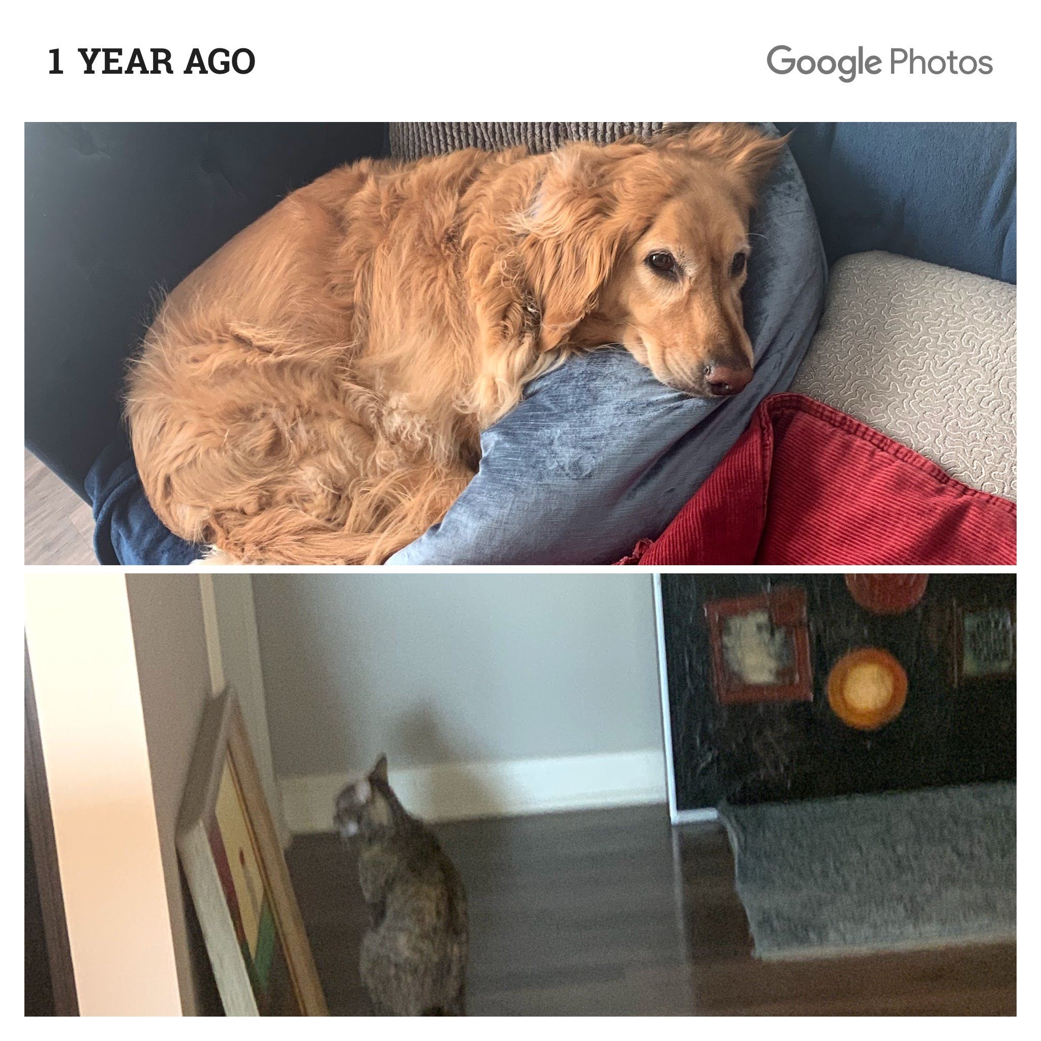 Louie memory