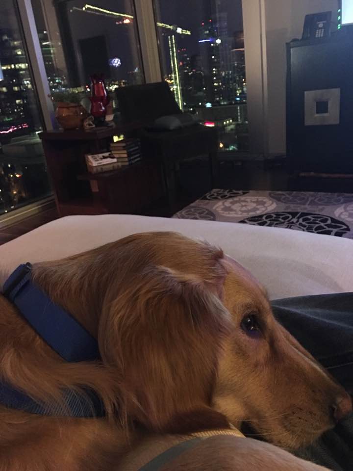 Louie memory