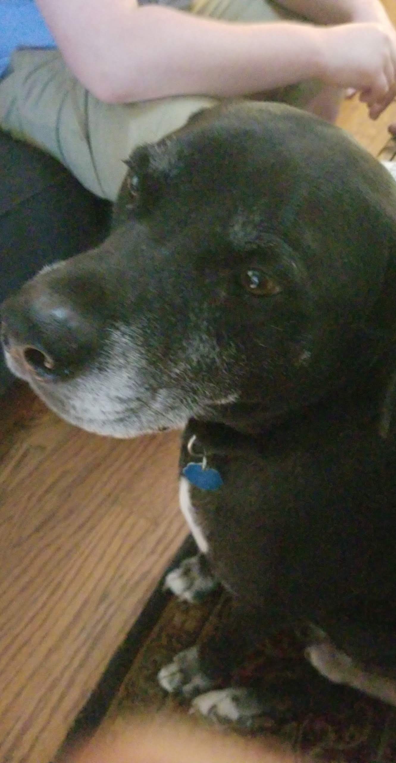 Louie memory